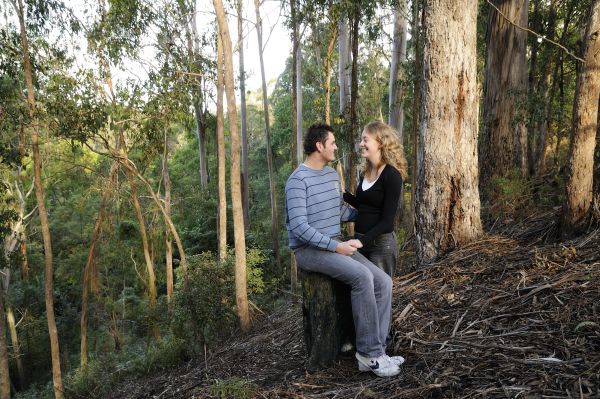 Goldsmith's In The Forest - Accommodation Fremantle